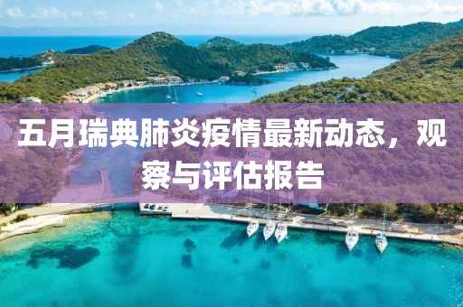 五月瑞典肺炎疫情最新动态，观察与评估报告