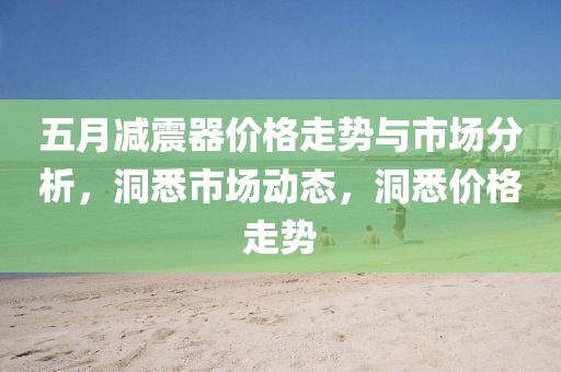 五月减震器价格走势与市场分析，洞悉市场动态，洞悉价格走势