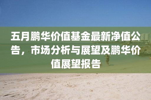 五月鹏华价值基金最新净值公告，市场分析与展望及鹏华价值展望报告