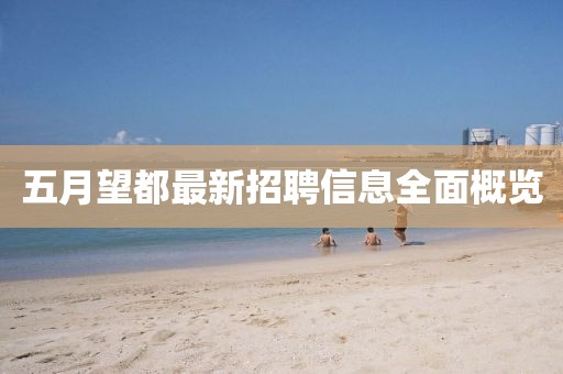 五月望都最新招聘信息全面概览