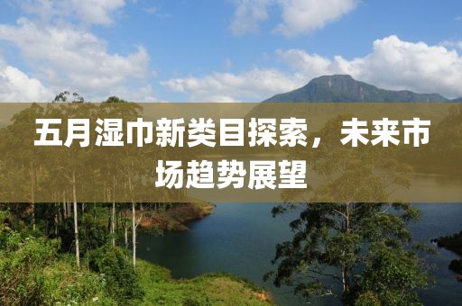 五月湿巾新类目探索，未来市场趋势展望