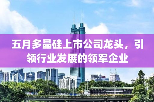 五月多晶硅上市公司龙头，引领行业发展的领军企业