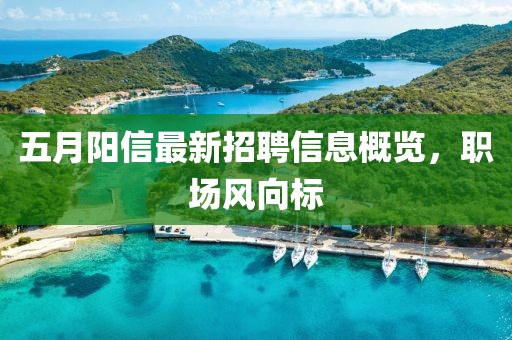 五月阳信最新招聘信息概览，职场风向标