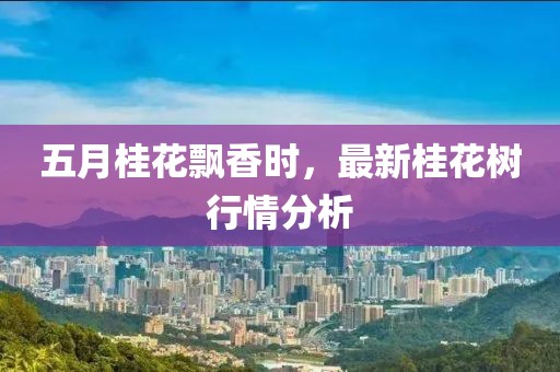 五月桂花飘香时，最新桂花树行情分析