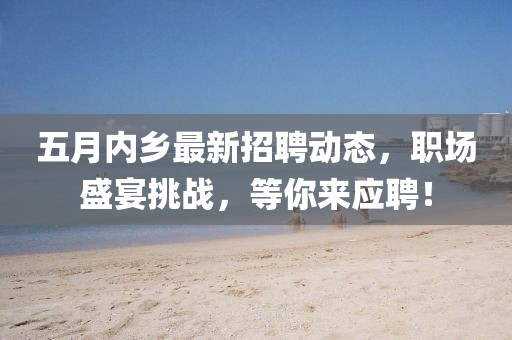 五月内乡最新招聘动态，职场盛宴挑战，等你来应聘！