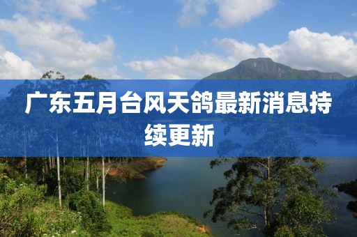 广东五月台风天鸽最新消息持续更新