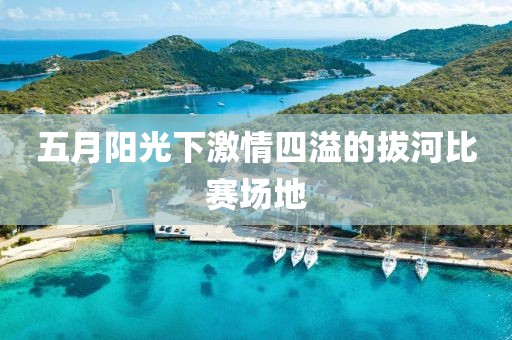 五月阳光下激情四溢的拔河比赛场地