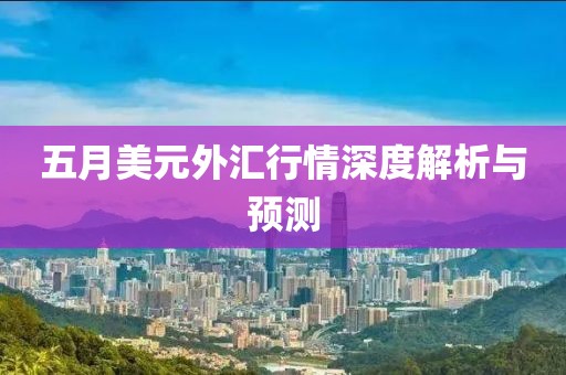 五月美元外汇行情深度解析与预测