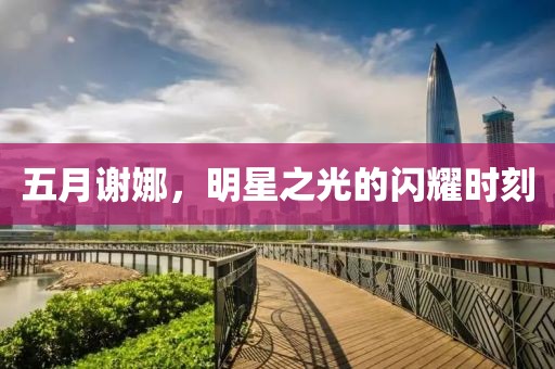 五月谢娜，明星之光的闪耀时刻