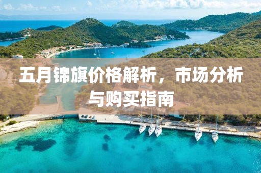 五月锦旗价格解析，市场分析与购买指南