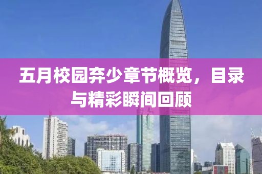五月校园弃少章节概览，目录与精彩瞬间回顾