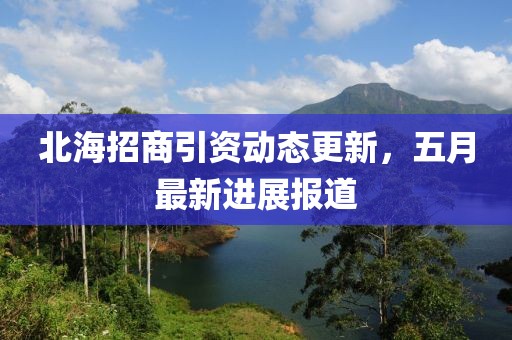 北海招商引资动态更新，五月最新进展报道