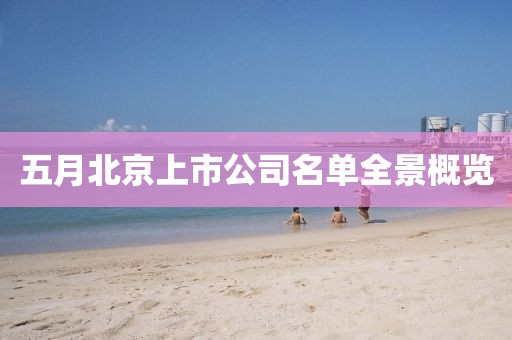 五月北京上市公司名单全景概览