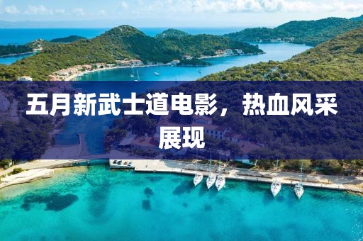 五月新武士道电影，热血风采展现