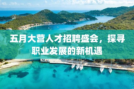 五月大营人才招聘盛会，探寻职业发展的新机遇