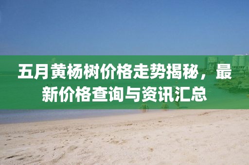 五月黄杨树价格走势揭秘，最新价格查询与资讯汇总
