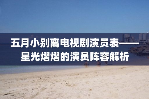 五月小别离电视剧演员表——星光熠熠的演员阵容解析
