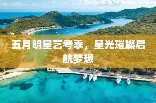 五月明星艺考季，星光璀璨启航梦想