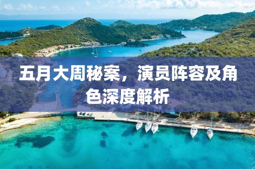 五月大周秘案，演员阵容及角色深度解析
