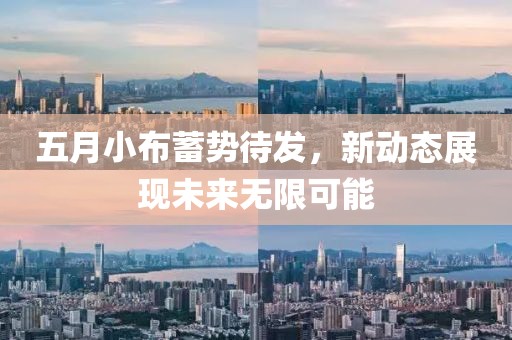 五月小布蓄势待发，新动态展现未来无限可能