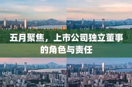 五月聚焦，上市公司独立董事的角色与责任