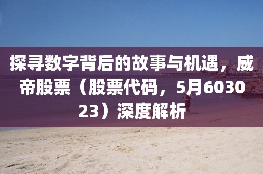 探寻数字背后的故事与机遇，威帝股票（股票代码，5月603023）深度解析