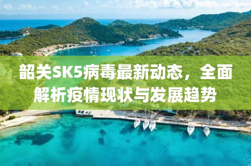韶关SK5病毒最新动态，全面解析疫情现状与发展趋势