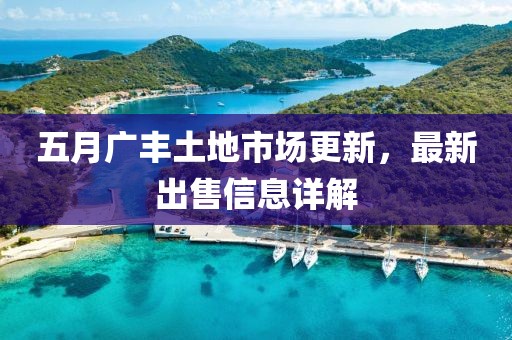 五月广丰土地市场更新，最新出售信息详解