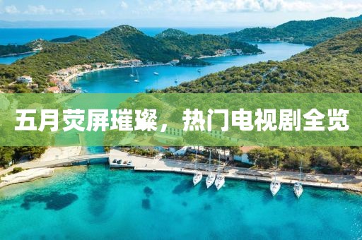 五月荧屏璀璨，热门电视剧全览