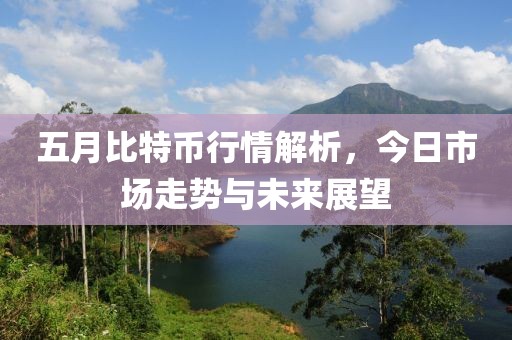 五月比特币行情解析，今日市场走势与未来展望