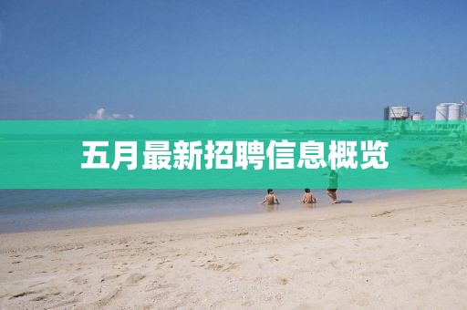 五月最新招聘信息概览