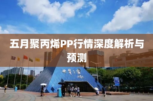 五月聚丙烯PP行情深度解析与预测