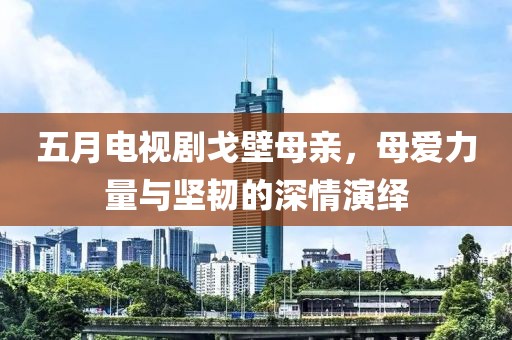 五月电视剧戈壁母亲，母爱力量与坚韧的深情演绎