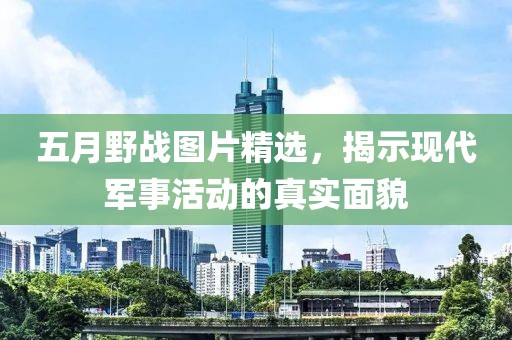 五月野战图片精选，揭示现代军事活动的真实面貌