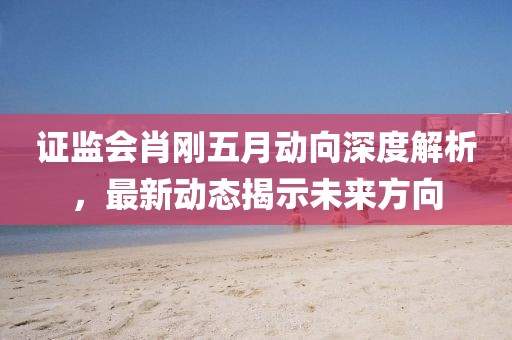 证监会肖刚五月动向深度解析，最新动态揭示未来方向