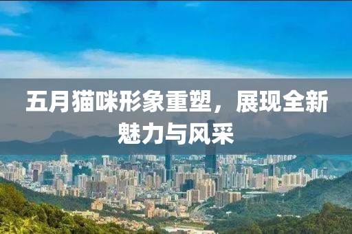 五月猫咪形象重塑，展现全新魅力与风采