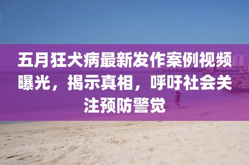 五月狂犬病最新发作案例视频曝光，揭示真相，呼吁社会关注预防警觉