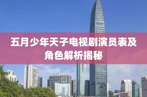 五月少年天子电视剧演员表及角色解析揭秘