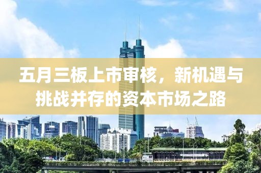 五月三板上市审核，新机遇与挑战并存的资本市场之路