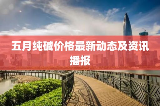 五月纯碱价格最新动态及资讯播报