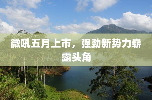 微吼五月上市，强劲新势力崭露头角