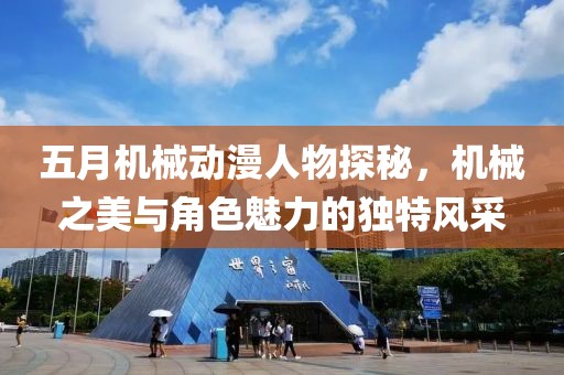 五月机械动漫人物探秘，机械之美与角色魅力的独特风采