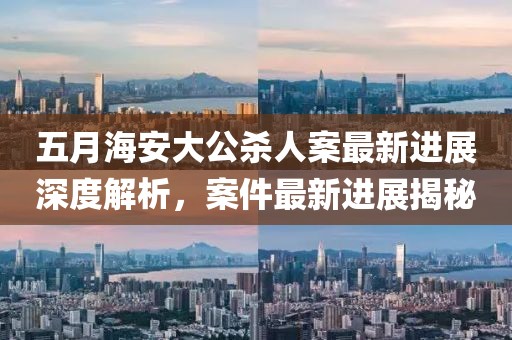 五月海安大公杀人案最新进展深度解析，案件最新进展揭秘