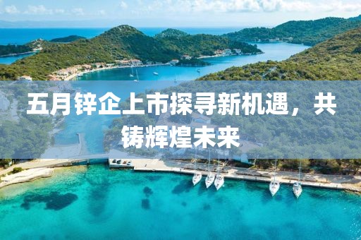五月锌企上市探寻新机遇，共铸辉煌未来