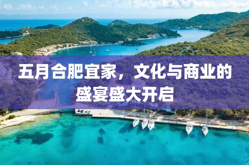 五月合肥宜家，文化与商业的盛宴盛大开启