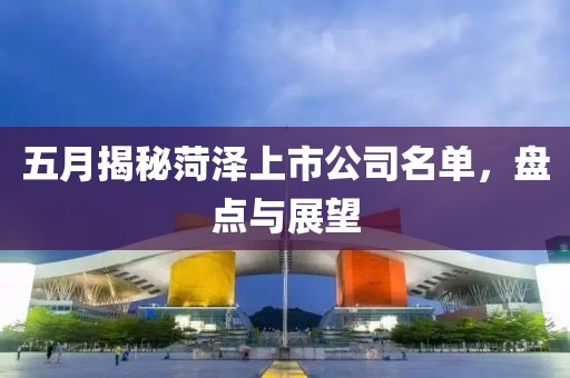 五月揭秘菏泽上市公司名单，盘点与展望