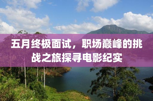 五月终极面试，职场巅峰的挑战之旅探寻电影纪实