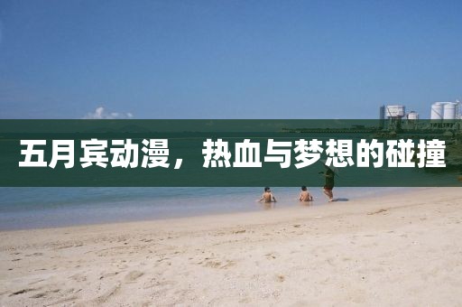 五月宾动漫，热血与梦想的碰撞