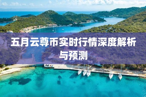 五月云尊币实时行情深度解析与预测