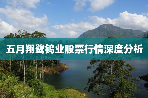 五月翔鹭钨业股票行情深度分析